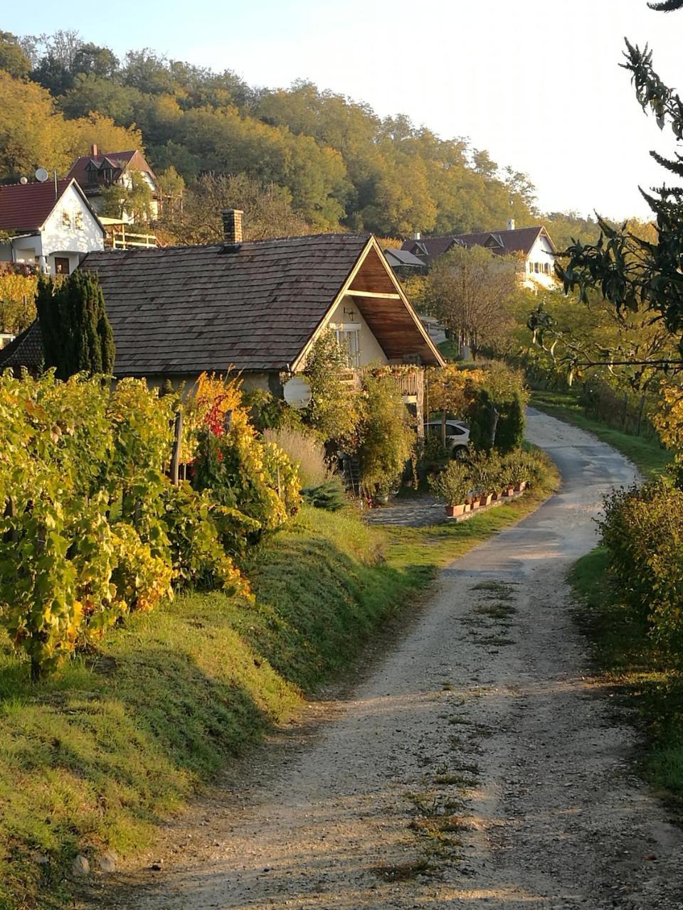 4K Vendeghaz Villa Kisapati Kültér fotó